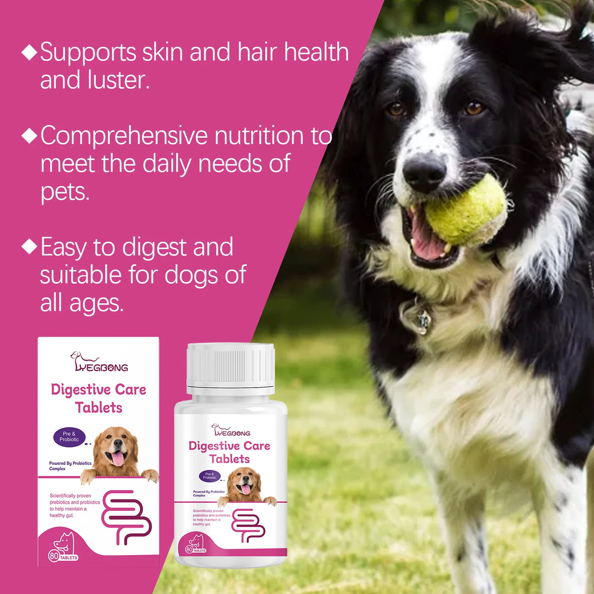 Pet Probiotic Chewable Tablets for Dogs Cats Digestive Health Gut Flora Immune Support Diarrhea Relief Prebiotics Digestive Enzymes Chicken Flavor Daily Supplement for Puppy Kitten Sensitive Stomach Safe Natural Effective