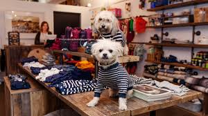 Apparel & Accessories