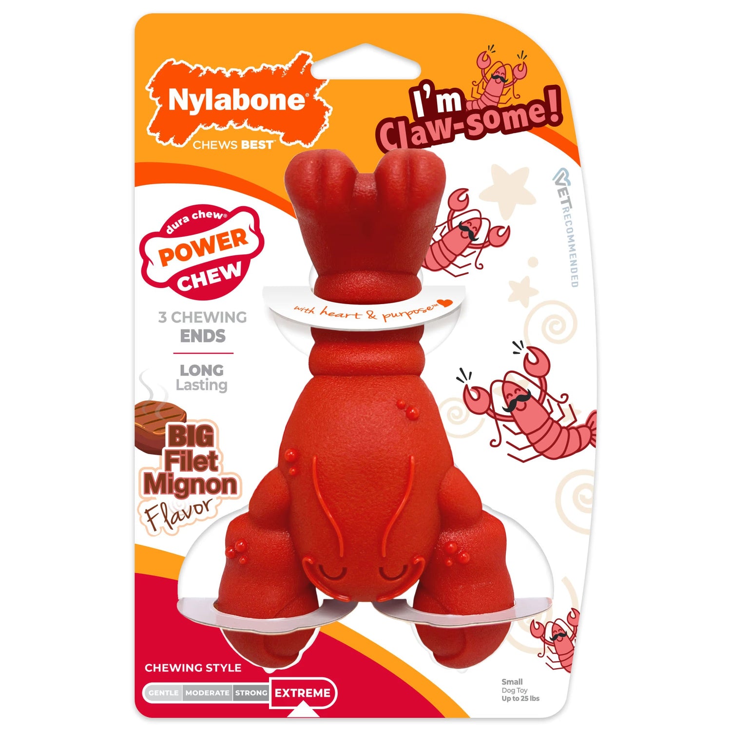 pet chew toys