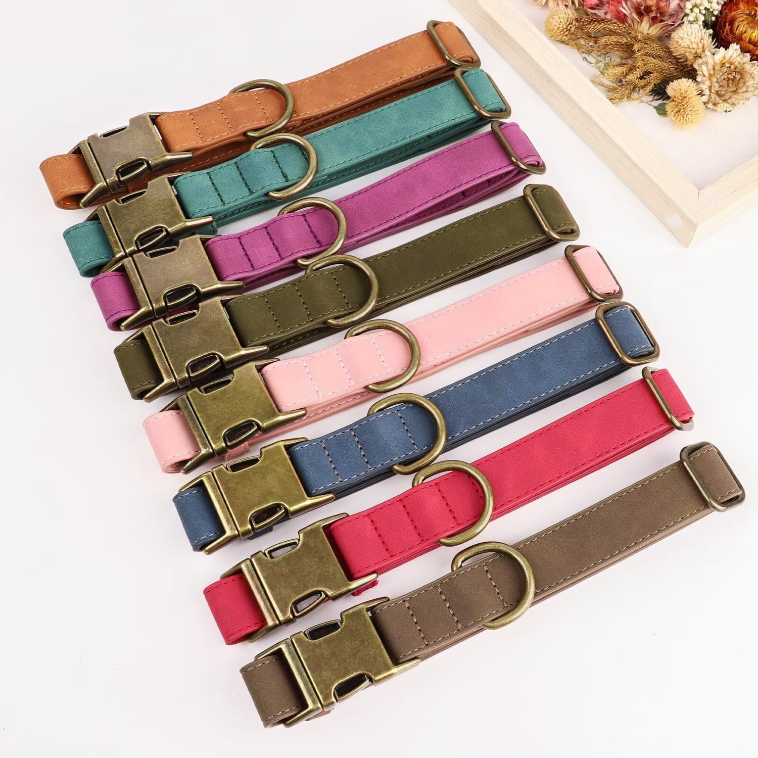 Dog Collars