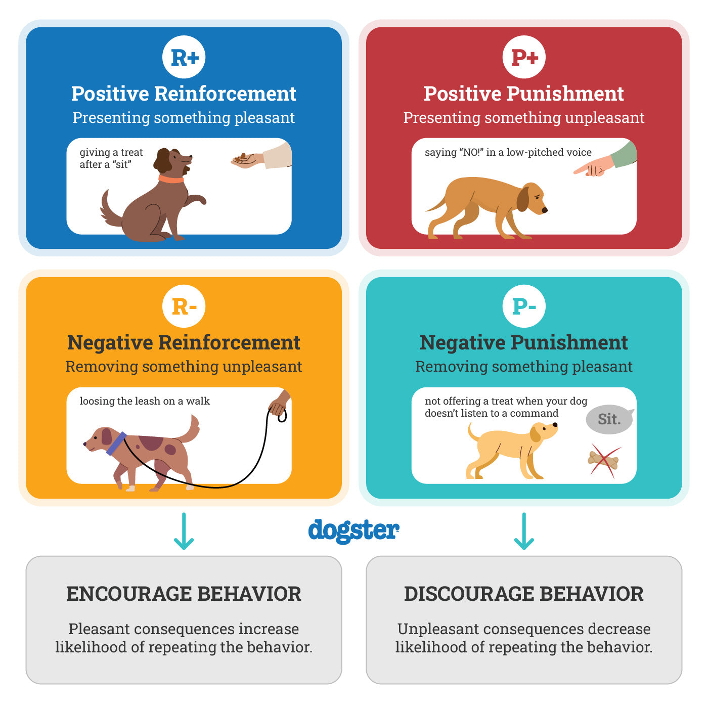 Pet Training & behavior