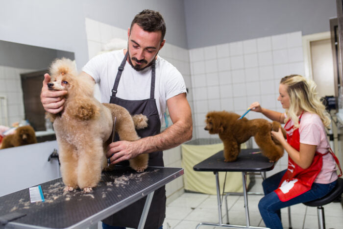 Grooming & Cleaning