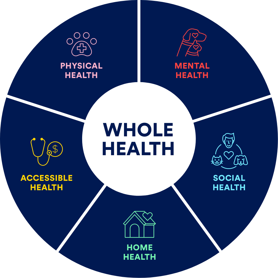Health & Wellness