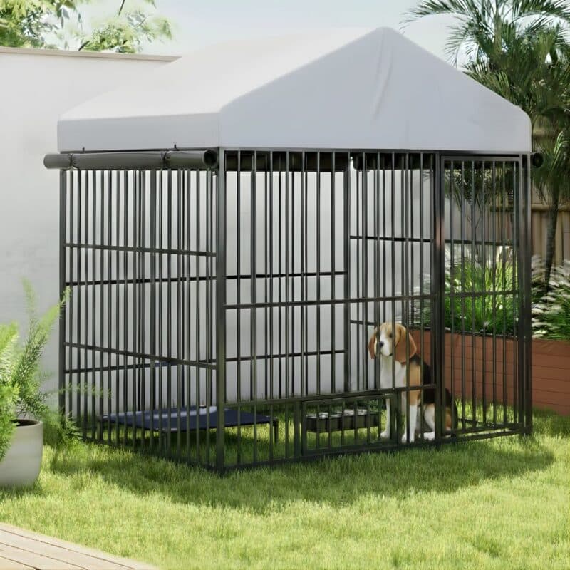 Large cage outdoors.