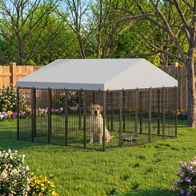 Crates for dogs