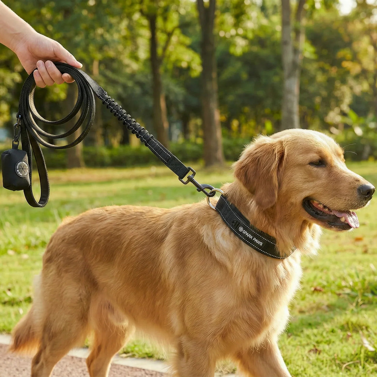 Dog collars