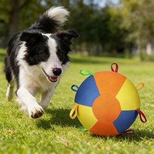 dog inflatables