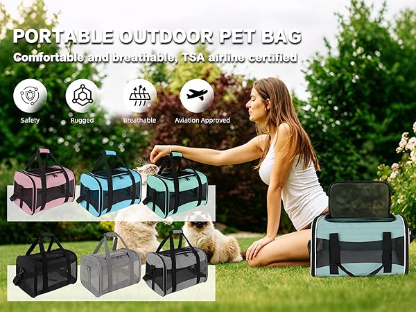 Pet Travel & Outdoor