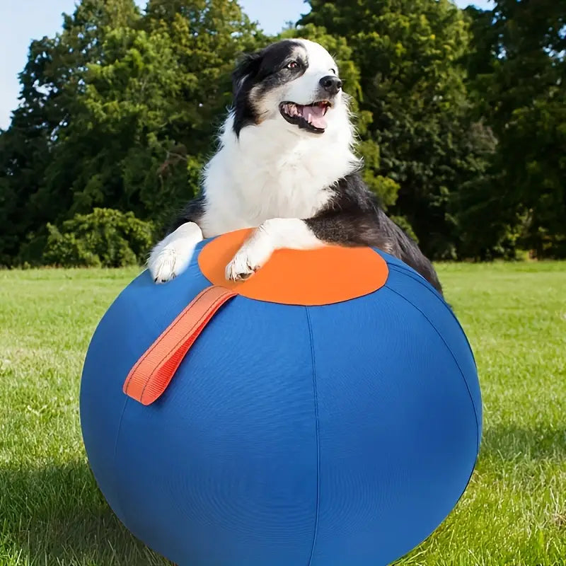 Pets inflatable toys