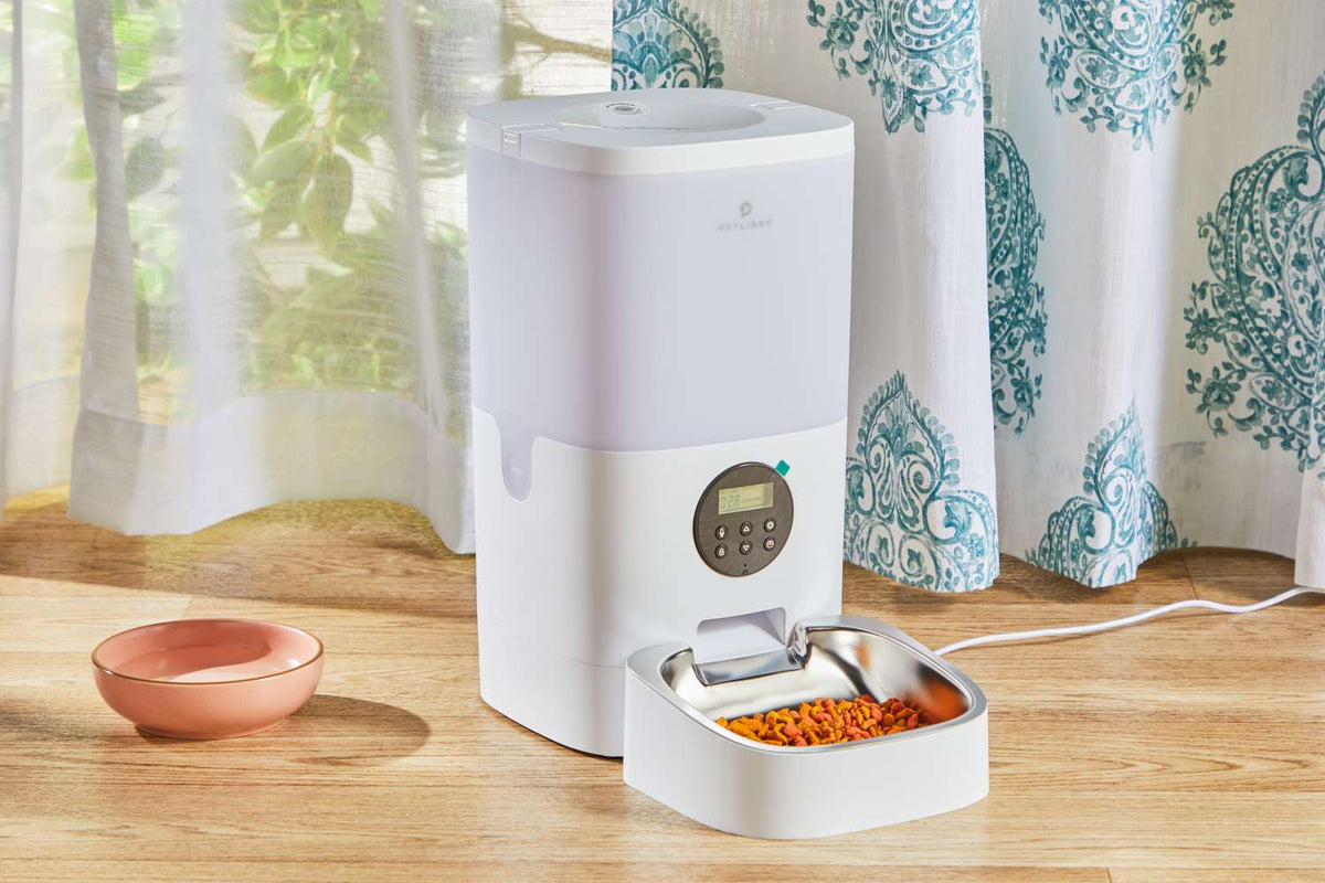 cat feeder