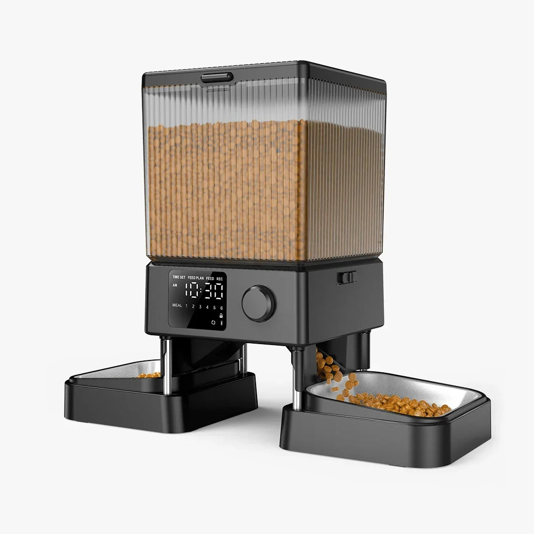 cat feeders