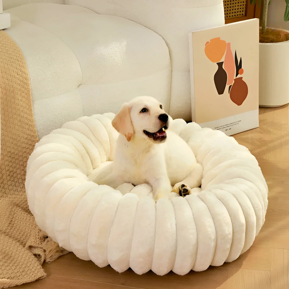 Dog Beds