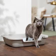 Cat Litter Box