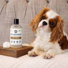 shampoos for dogs