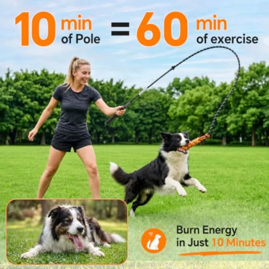 Flirt Pole for Dogs, Interactive Dog Toys for Large Medium Small Dogs Outdoor Exercise and Training Dog Teaser Wand with Chewin