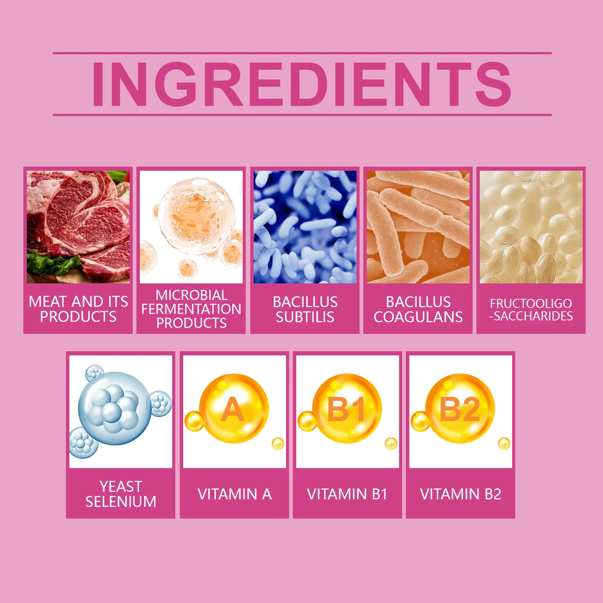 Pet Probiotic Chewable Tablets for Dogs Cats Digestive Health Gut Flora Immune Support Diarrhea Relief Prebiotics Digestive Enzymes Chicken Flavor Daily Supplement for Puppy Kitten Sensitive Stomach Safe Natural Effective