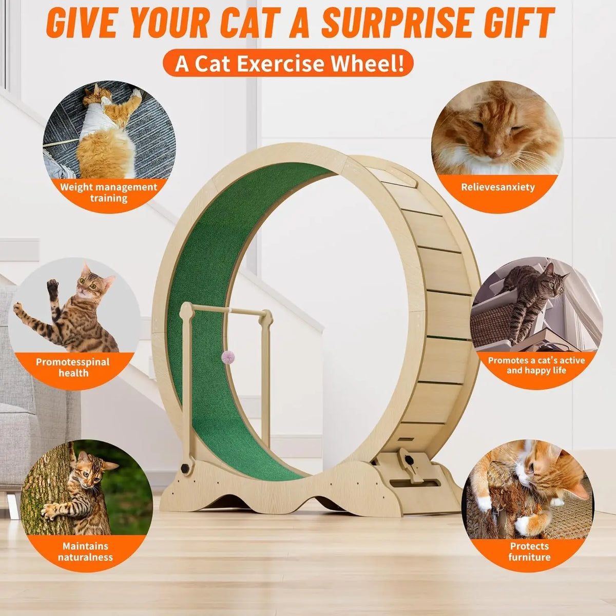 Cat Exercise Wheel 45 Inch for Indoor Cats, Quiet TPE Rollers with Detachable Carpeted Runway & Cat Teaser