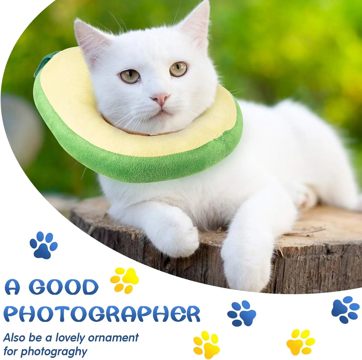 4 Pcs Adjustable Cat Cone Collar Soft Cat Recovery Collar Cute