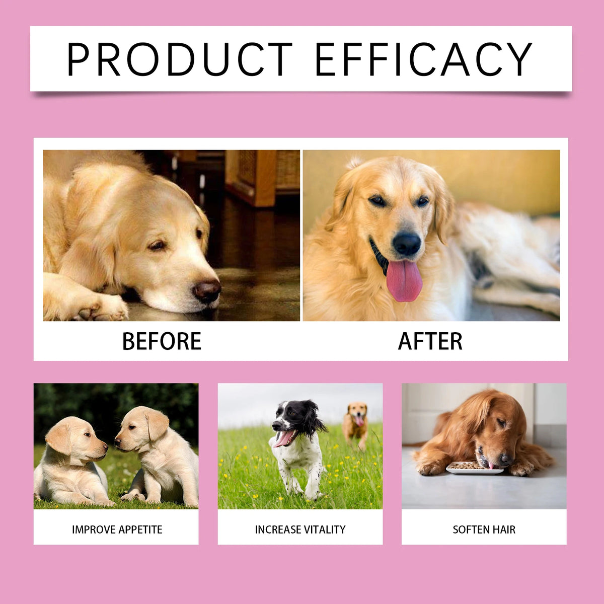 Pet Probiotic Chewable Tablets for Dogs Cats Digestive Health Gut Flora Immune Support Diarrhea Relief Prebiotics Digestive Enzymes Chicken Flavor Daily Supplement for Puppy Kitten Sensitive Stomach Safe Natural Effective