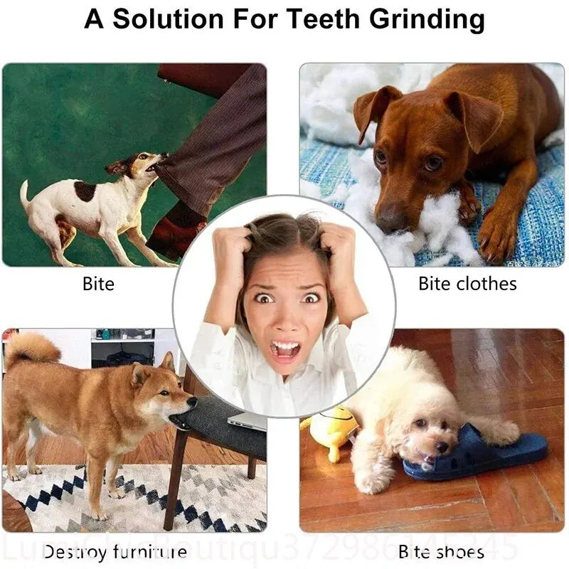 Non‑Toxic Bite‑Resistant Dog Toy Ball Treat Dispensing Feeder Ball Chew Tooth‑Cleaning Interactive Play Toy For Puppy Dogs Cats Pet Supply