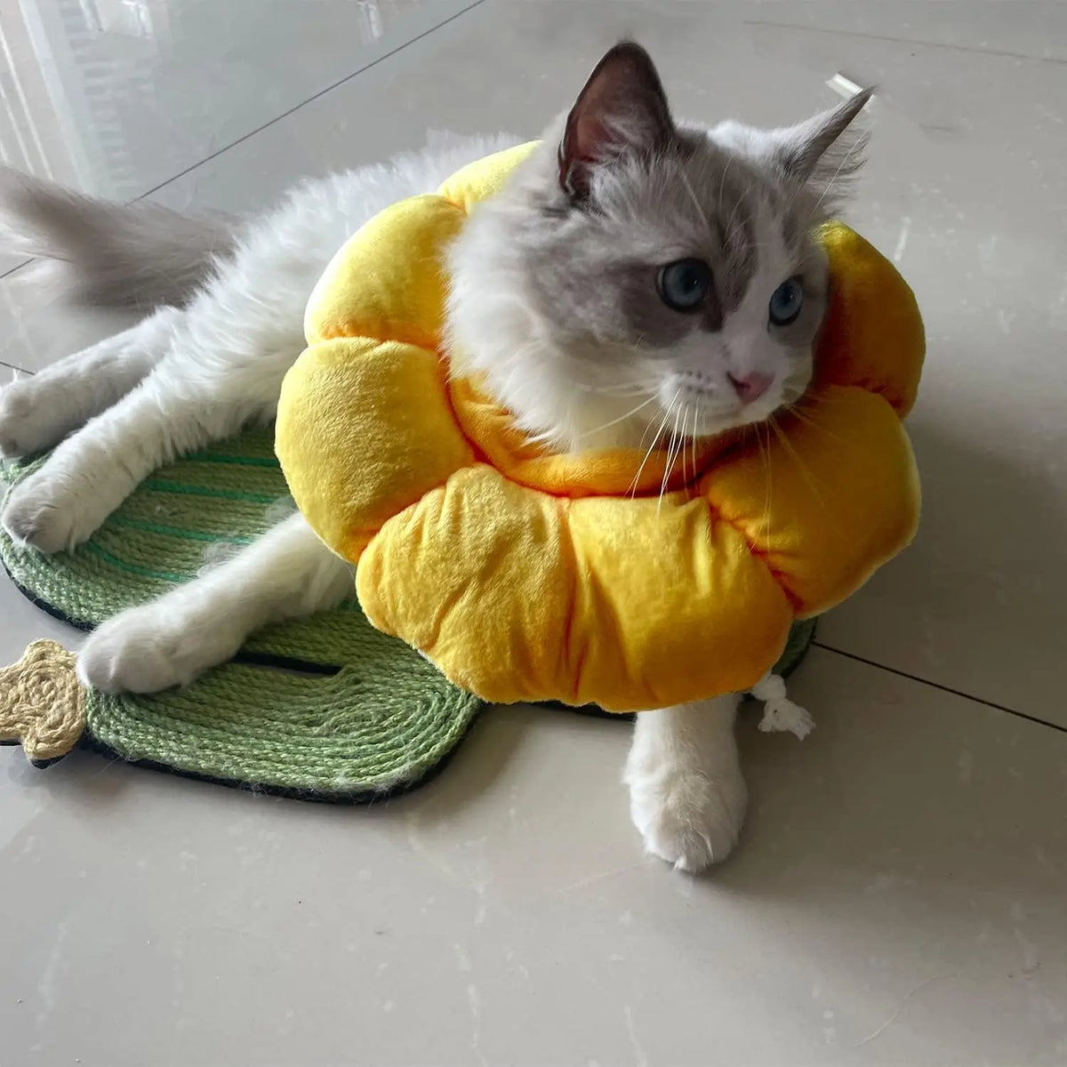 Cat Small Dog Recovery Collar, Cute Sunflower Neck Cone After Surgery, Adjustable Pet E Collar, Wound Healing Protective Cone