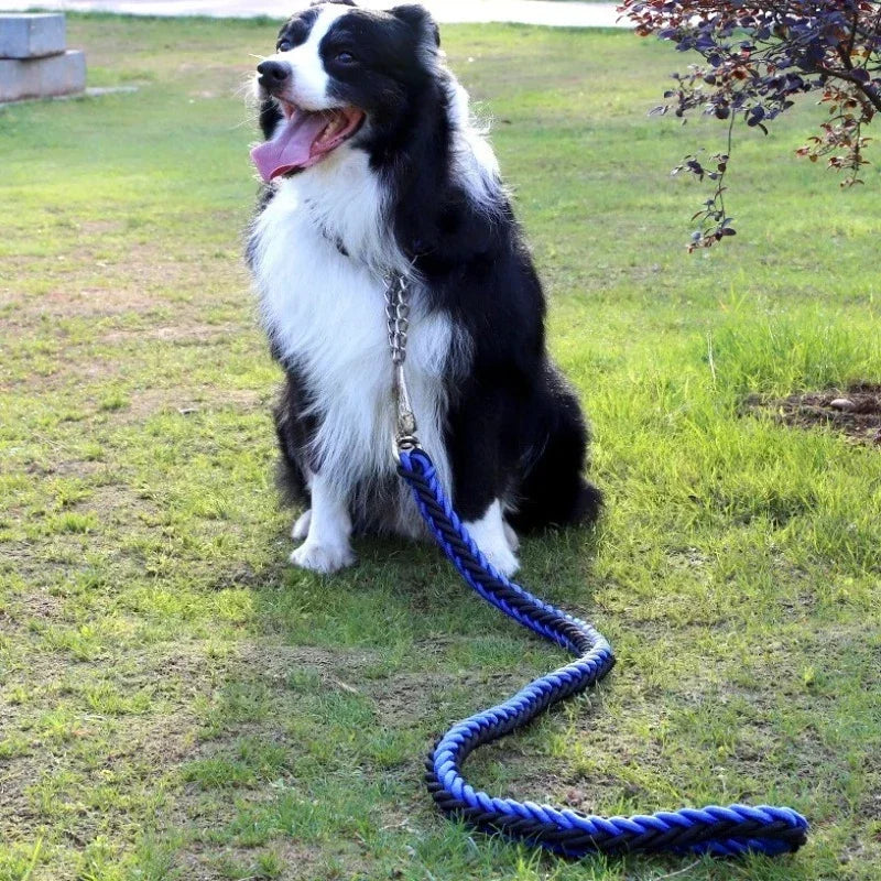 Nylon Dog Collar Leash Set Colored Woven Traction Rope Adjustable Dog Collars for Dogs Training and Walking
