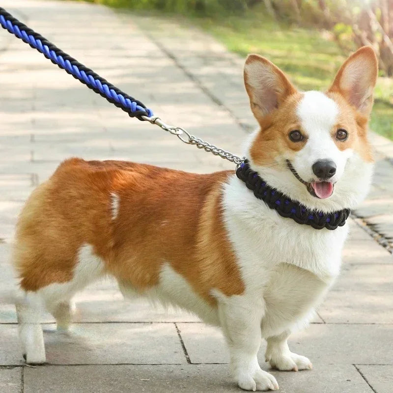 Nylon Dog Collar Leash Set Colored Woven Traction Rope Adjustable Dog Collars for Dogs Training and Walking