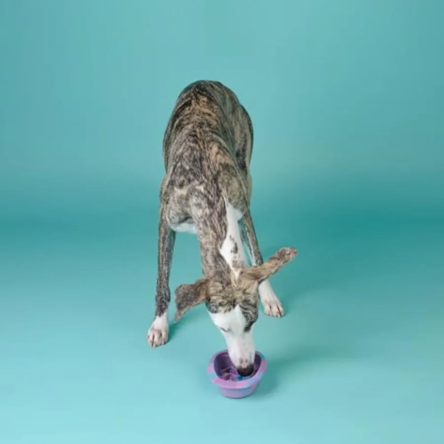 Dog and Cat Lick Mat Bowls, BPA-Free Silicone Slow Feeder Bowl with Suction Cups, Non Slip Pet Food Bowl Reduces Boredom and An