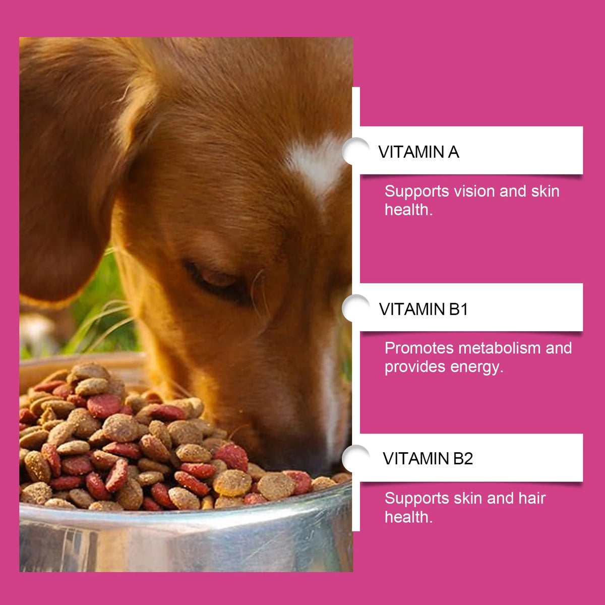 Pet Probiotic Chewable Tablets for Dogs Cats Digestive Health Gut Flora Immune Support Diarrhea Relief Prebiotics Digestive Enzymes Chicken Flavor Daily Supplement for Puppy Kitten Sensitive Stomach Safe Natural Effective