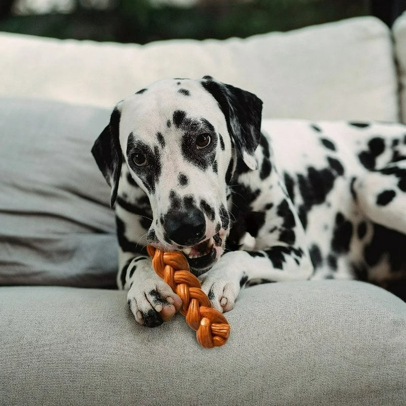 Bragged Stick Chew Toys for Dogs, Bamboo Fiber Toys for Light to Moderate Chewers, for Dogs & Teething Puppies Under 30lbs, 5.75in, Hickory Smoke